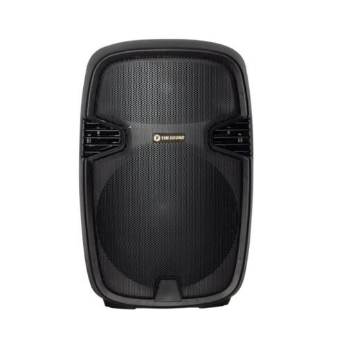 Parlante Activo 15" 1000W SY-1679-15E YIM SOUND - Imagen 2