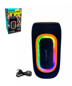 Mini radio parlante portátil 20W LD-S830 LIDIMI